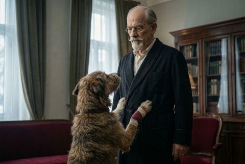 Иллюстрация для "Собачье сердце. Глава 2"